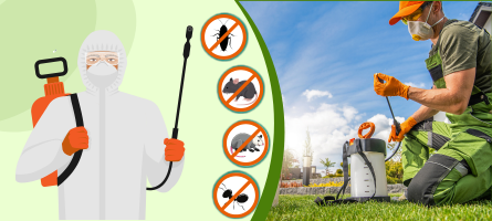 Emergency Pest Control Langwarrin